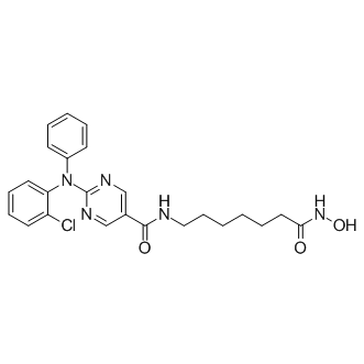 Citarinostat (ACY-241)