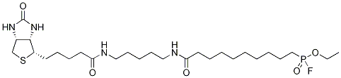 FP-Biotin