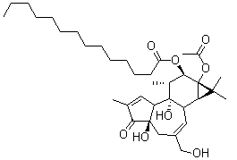 12-O-tetradecanoyl phorbol-13-acetate