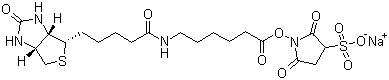 Sulfo-NHS-LC-Biotin