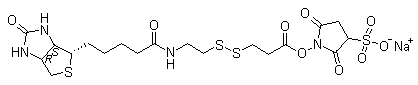 Sulfo-NHS-SS-Biotin