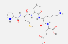 Bax inhibitor peptide P5