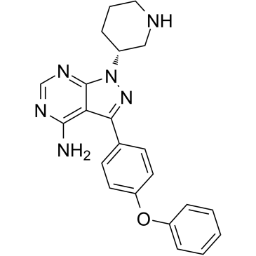Btk inhibitor 1 (R enantiomer)