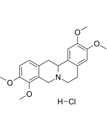 Tetrahydropalmatine hydrochloride