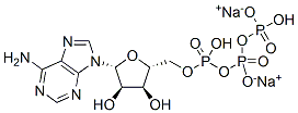 ATP (Adenosine-Triphosphate)