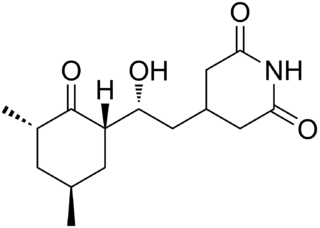 Cycloheximide (Actidione)