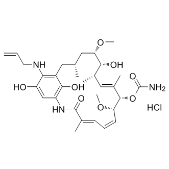 IPI-504 (Retaspimycin HCl)