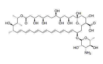 Amphotericin B