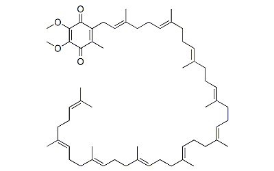Coenzyme Q10 (CoQ10)