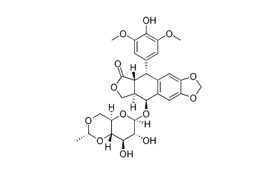 Etoposide (VP-16)