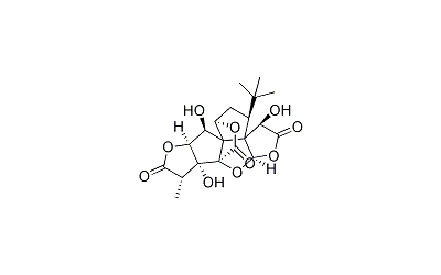 Ginkgolide B
