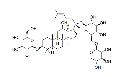 Gynostemma Extract