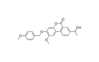Palomid 529 (P529)