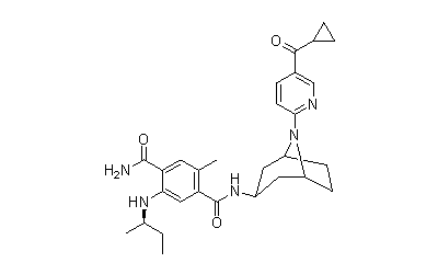 XL-888