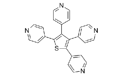 GANT 58
