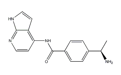 Y-33075