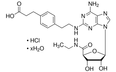 CGS 21680 HCl Hydrate