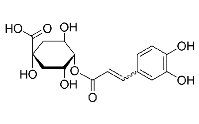 4-O-Caffeoylquinic acid