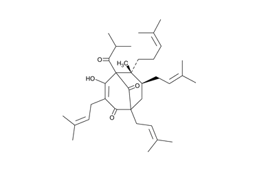 Hyperforin (solution in Ethanol)