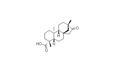 Isosteviol (NSC 231875)