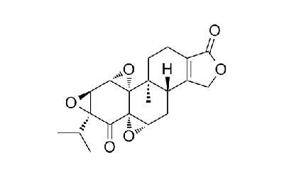 Triptonide