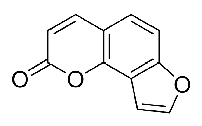 Angelicin