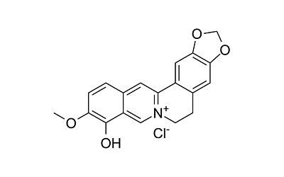 Berberrubine chloride