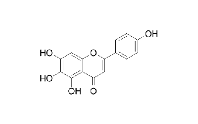 Scutellarein