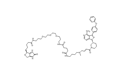 Ibrutinib-biotin