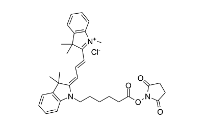 Cy3 NHS ester