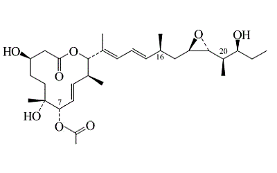 Pladienolide B