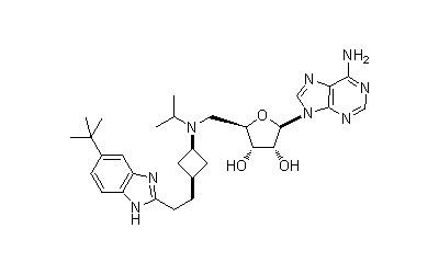 EPZ-5676 (Pinometostat)
