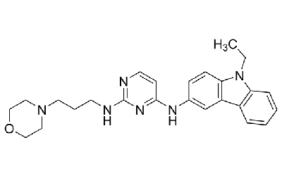 EHop-016