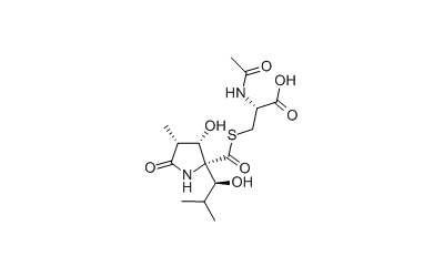 Lactacystin