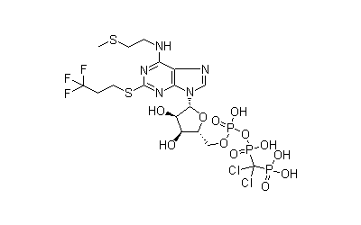 Cangrelor (AR-C69931)