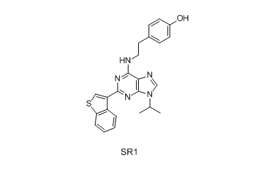 StemRegenin 1 (SR1)