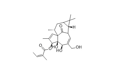Ingenol Mebutate (PEP005)