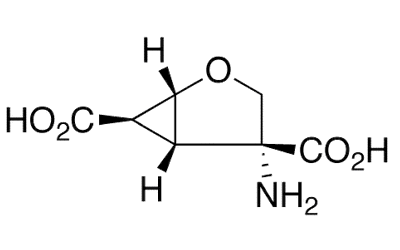 LY 379268