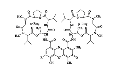 Actinomycin D