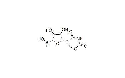 5-BrdU