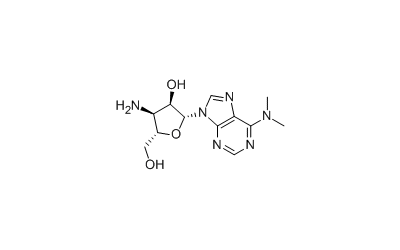 Puromycin Aminonucleoside