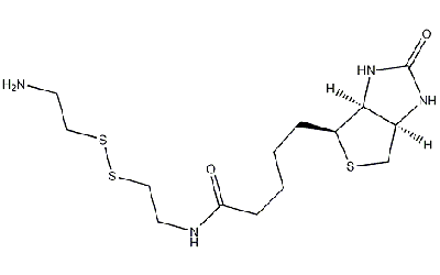 Biotinyl Cystamine