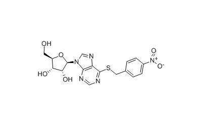 NBMPR (Nitrobenzylthioinosine)