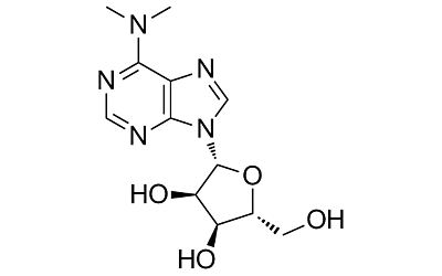 N6,N6-Dimethyladenosine