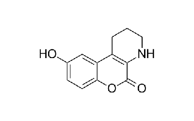 CID 797718