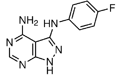 CGP 57380