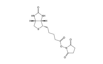 NHS-Biotin