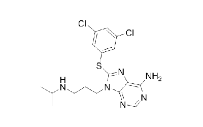PU-WS13