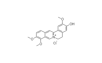 Jatrorrhizine Hydrochloride