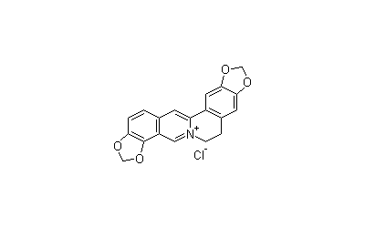 Coptisine chloride